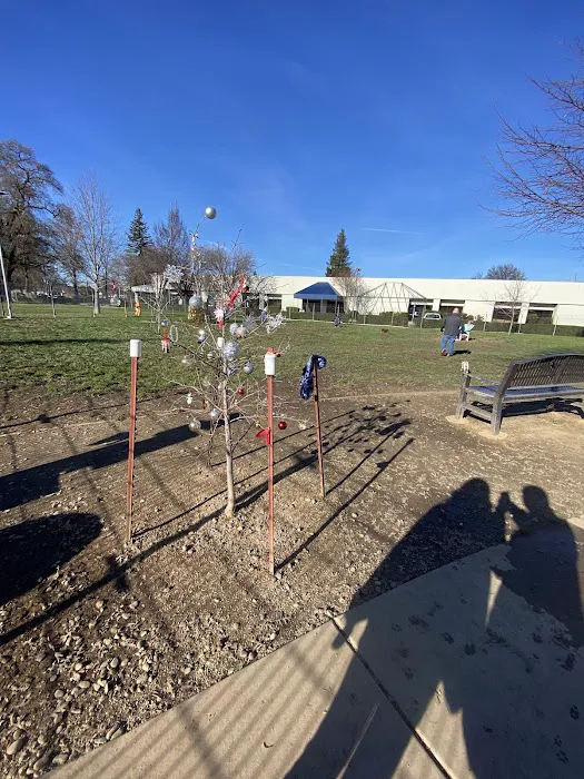 Sacramento County Animal Shelter Off Leash Dog Park 7