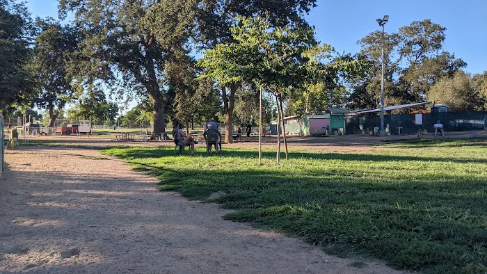 Carmichael Park Off Leash Dog Park 4