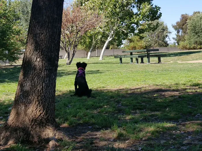 Jacinto Creek Park 8