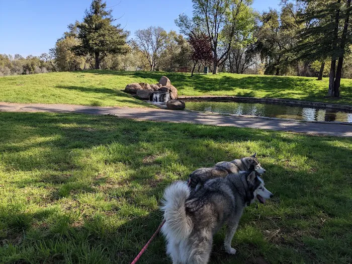 Hagan Community Dog Park 3