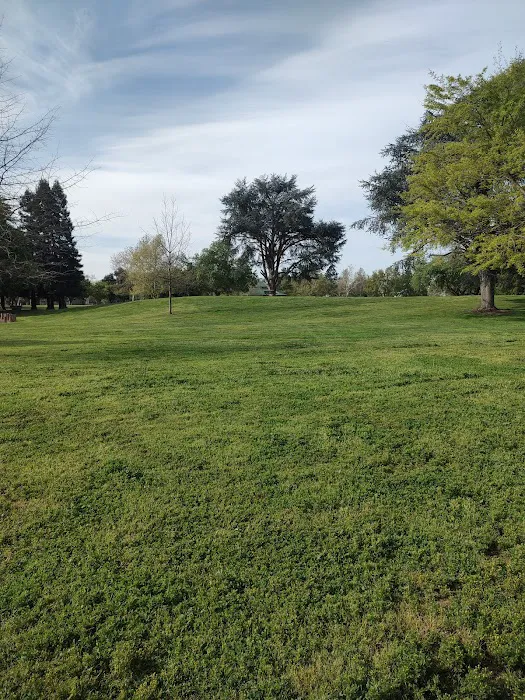 Hagan Community Dog Park 7