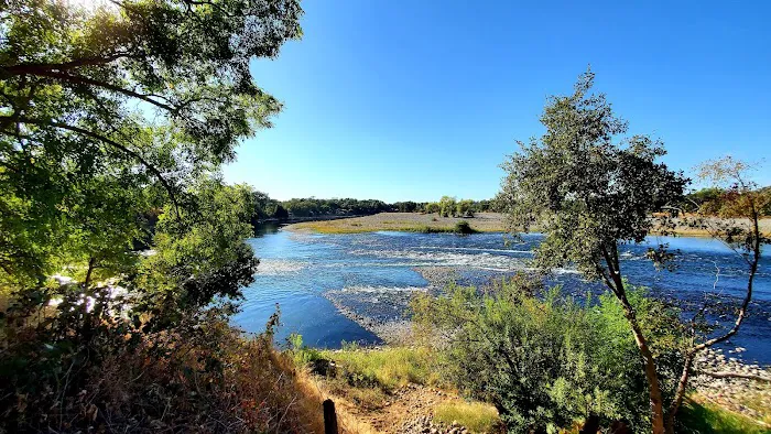 Hagan Community Dog Park 10