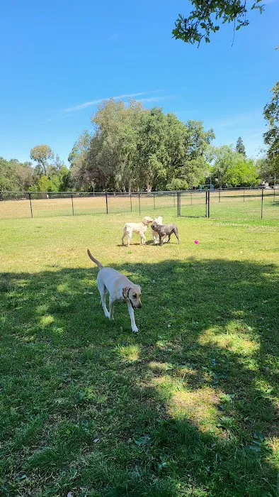 Arcade Creek Park 5
