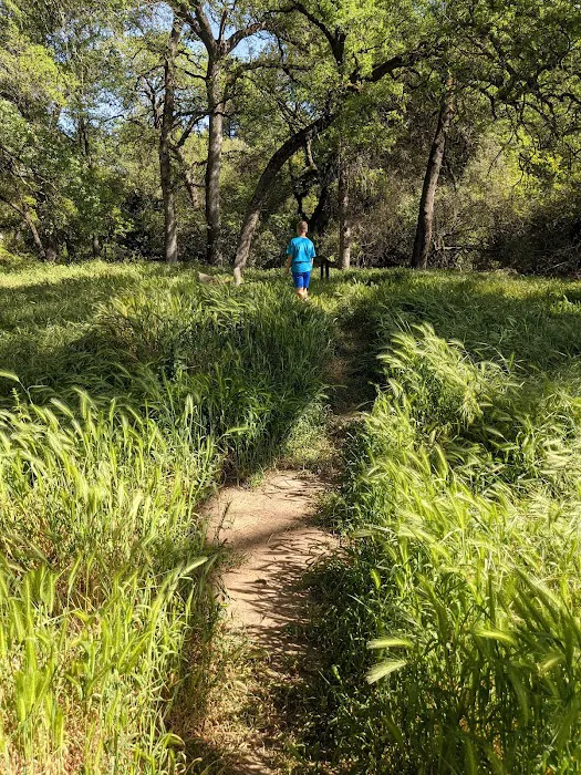 Arcade Creek Park 9