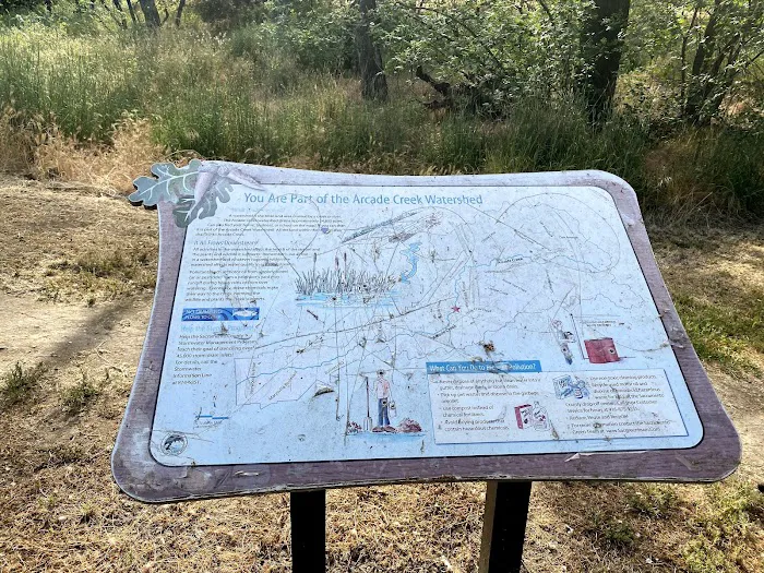 Arcade Creek Park 10