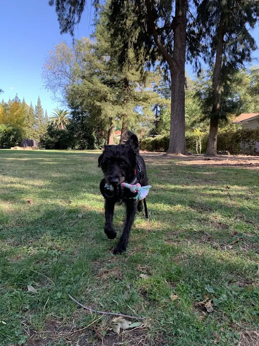 Offleash Dog Area 6