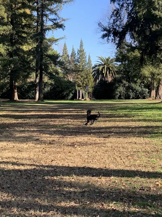 Offleash Dog Area 5