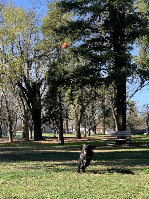 Offleash Dog Area 3