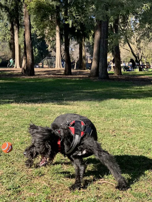 Offleash Dog Area 4