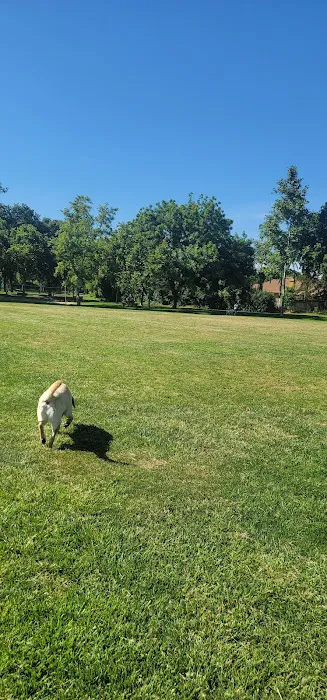Walnut Park Unfenced Offleash Dog Area 3