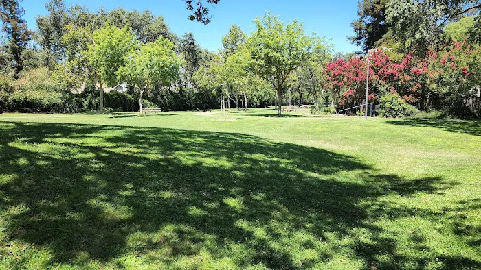 Walnut Park Unfenced Offleash Dog Area 8