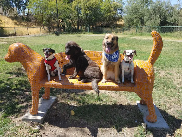 Toad Hollow Dog Park 7