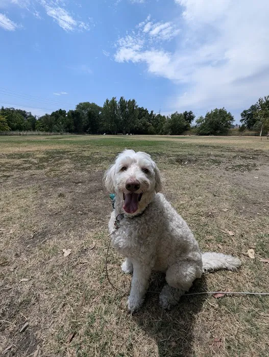 Toad Hollow Dog Park 2