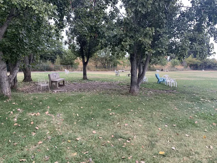 Toad Hollow Dog Park 10