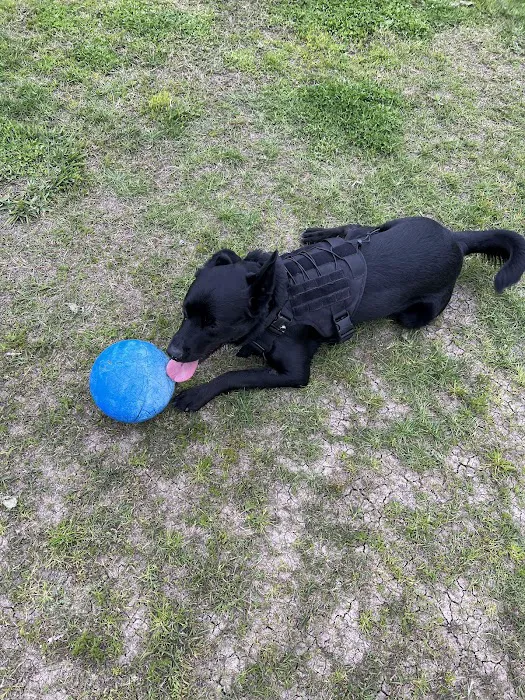 Toad Hollow Dog Park 8
