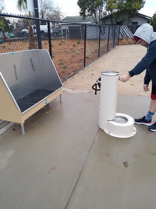 Cabana Dog Park 8