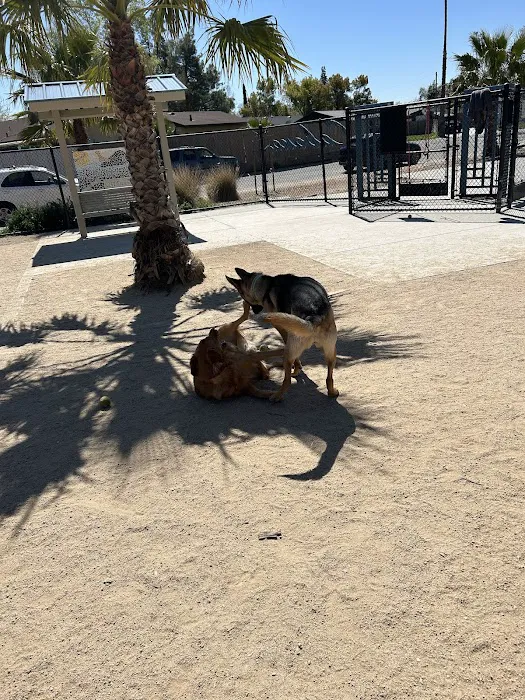 Cabana Dog Park 7