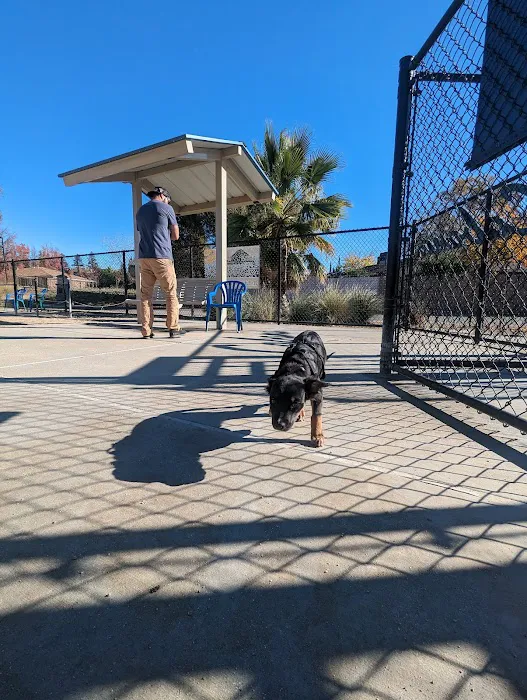 Cabana Dog Park 9