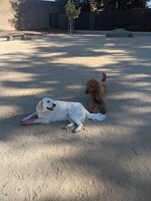 Cabana Dog Park 6
