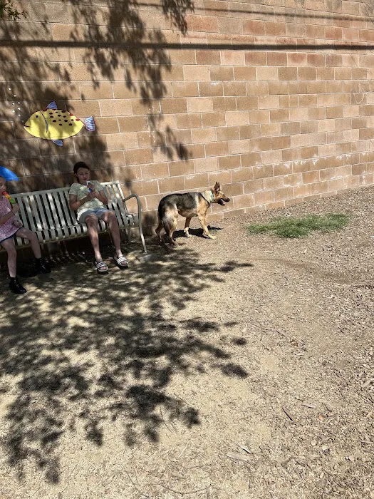 Cabana Dog Park 5