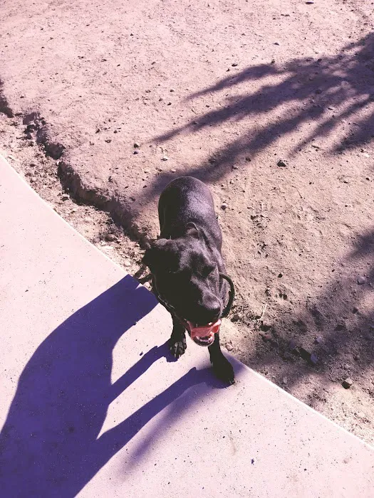 Cabana Dog Park 3