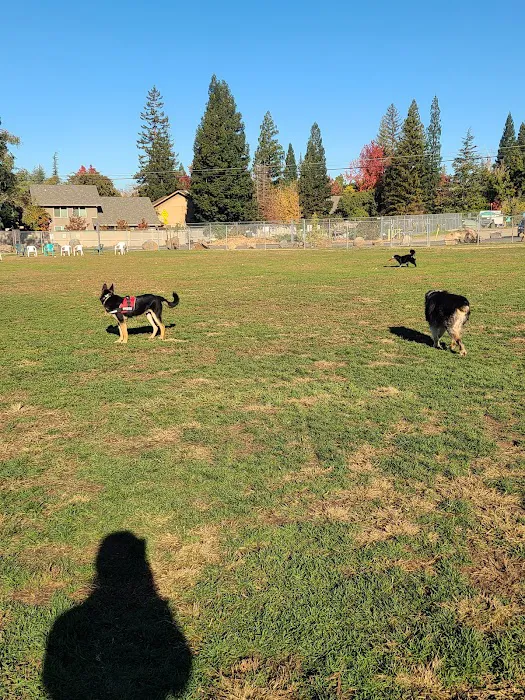 Phoenix Large Dog Park 2