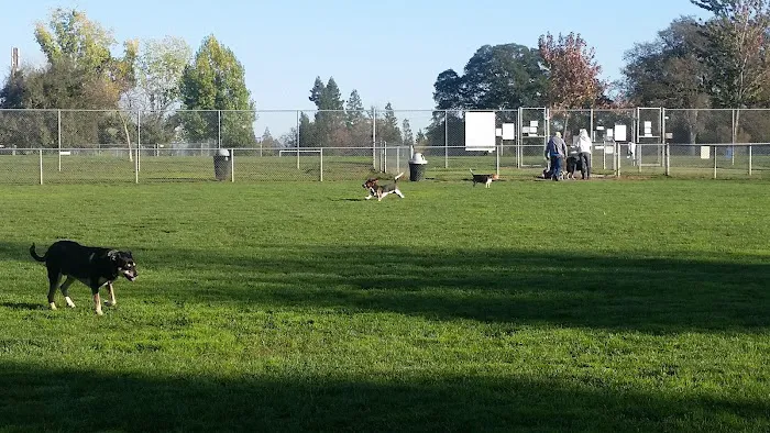 Phoenix Large Dog Park 4