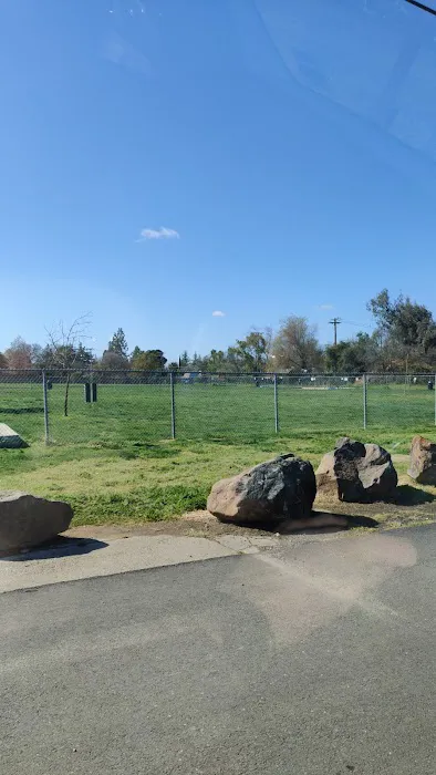 Phoenix Large Dog Park 3