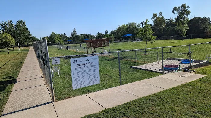 Phoenix Large Dog Park 5