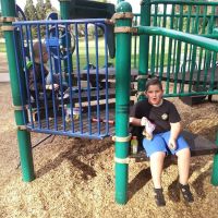 Dog park ico