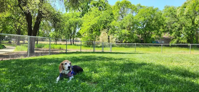 Dog park 2