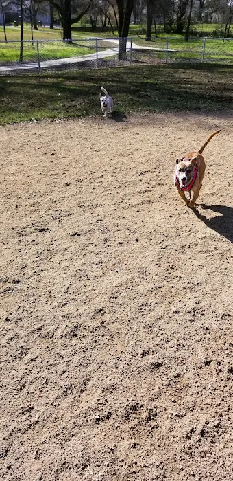 Dog park 5