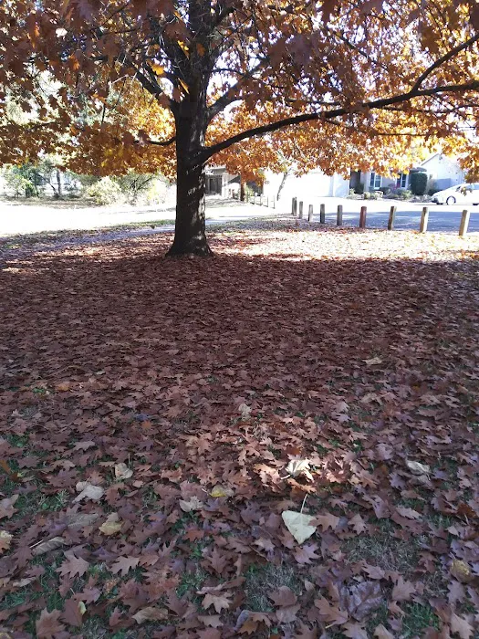 Dog park 6