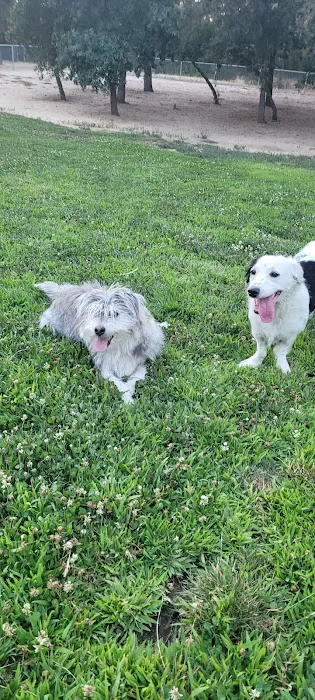 Dog park 3