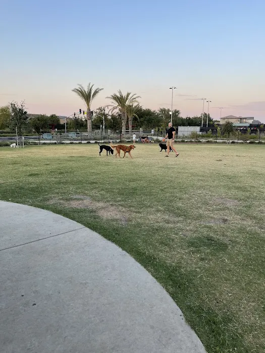 Oasis Dog Park 6