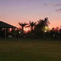 Oasis Dog Park ico
