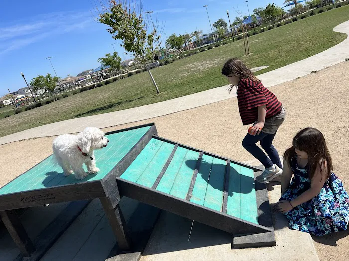 Oasis Dog Park 10