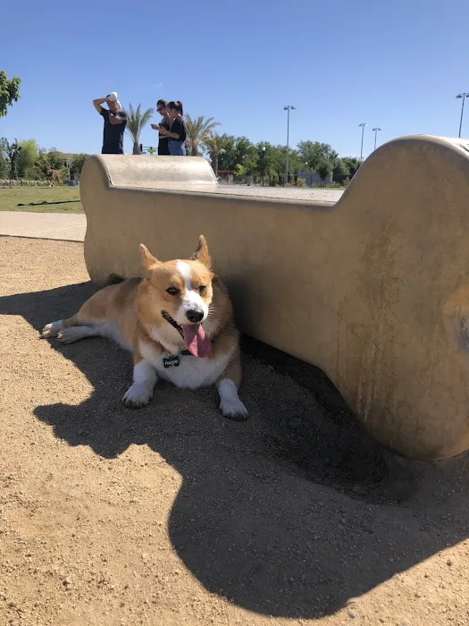 Oasis Dog Park 7