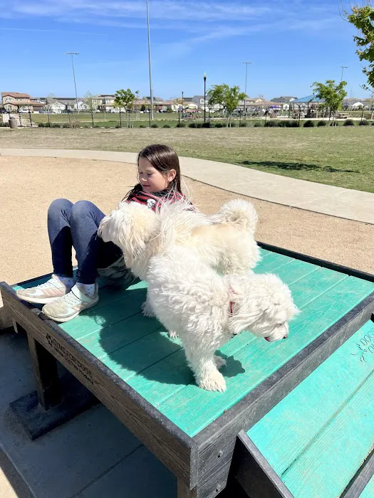Oasis Dog Park 8