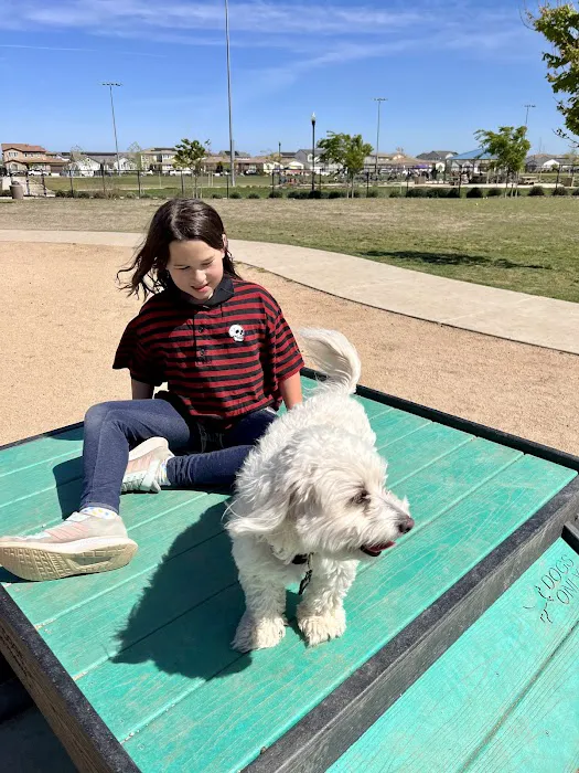 Oasis Dog Park 9