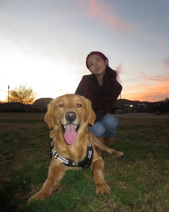 Oasis Dog Park 2