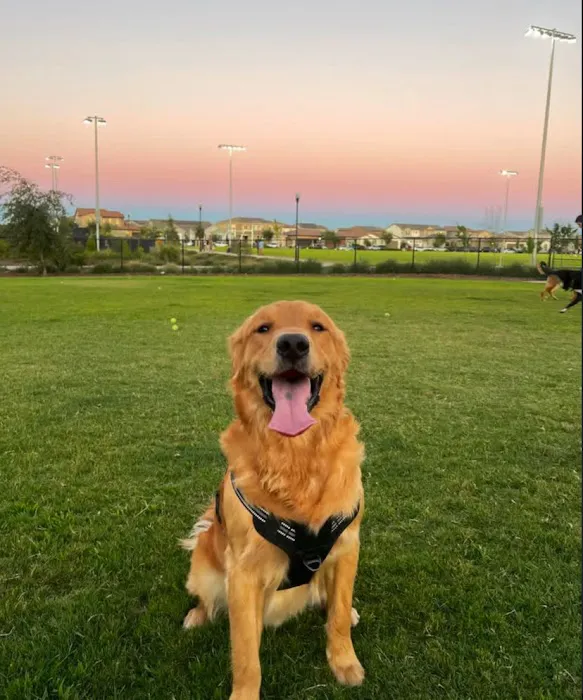 Oasis Dog Park 3
