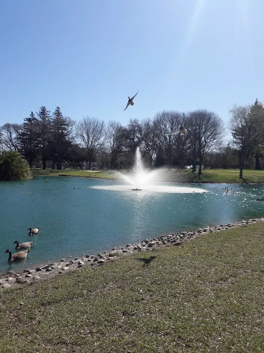 Off-Leash Dog Park 5