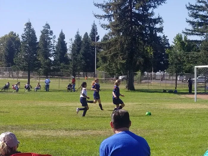 Off-Leash Dog Park 4