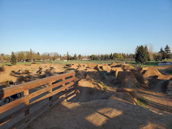 Off-Leash Dog Park 2