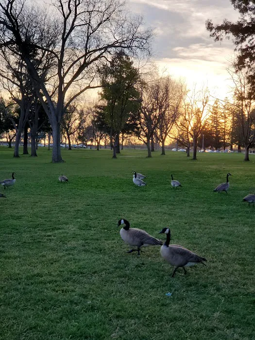 Off-Leash Dog Park 6