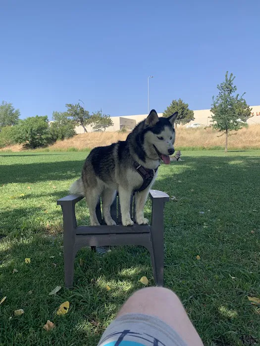 Marco Dog Park 1