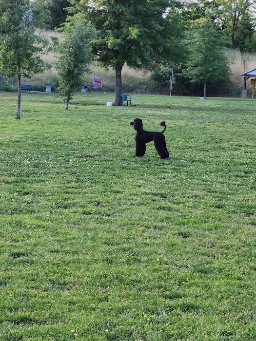 Marco Dog Park 8
