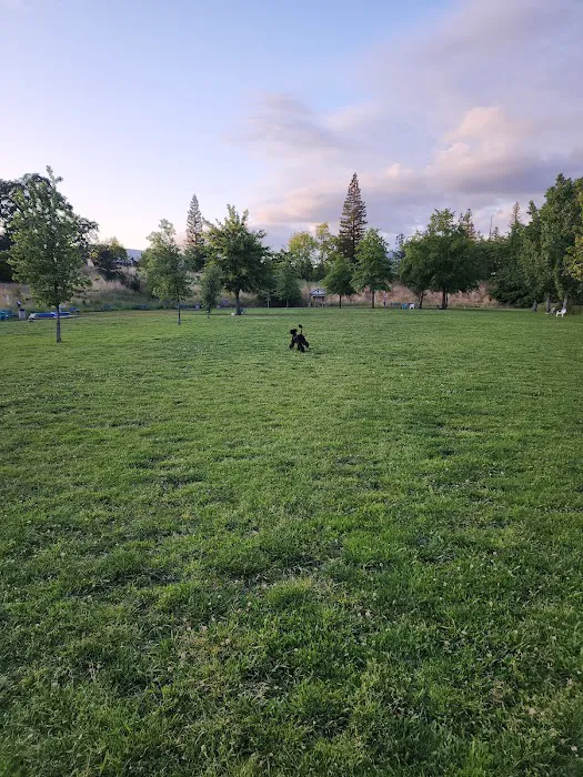 Marco Dog Park 10
