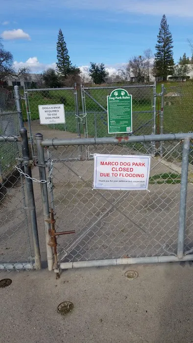 Marco Dog Park 6